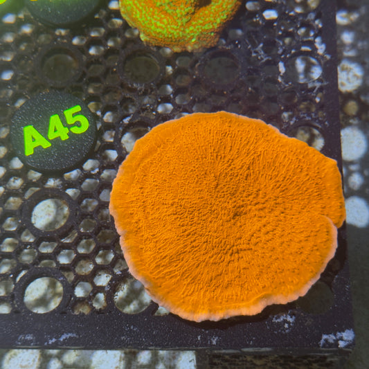 A45